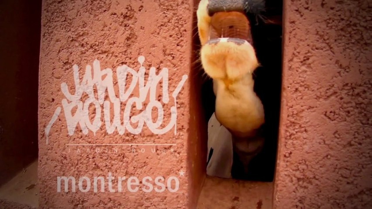 jardin rouge issue#1