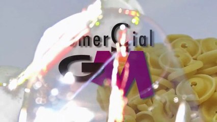 BODEGAS CHIVITE COMERCIAL GM