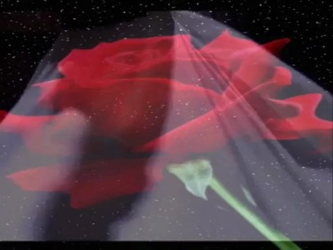 Âşk Bezîrganı -Esrara olub mahrem; n'oldun ah gönül n'oldun