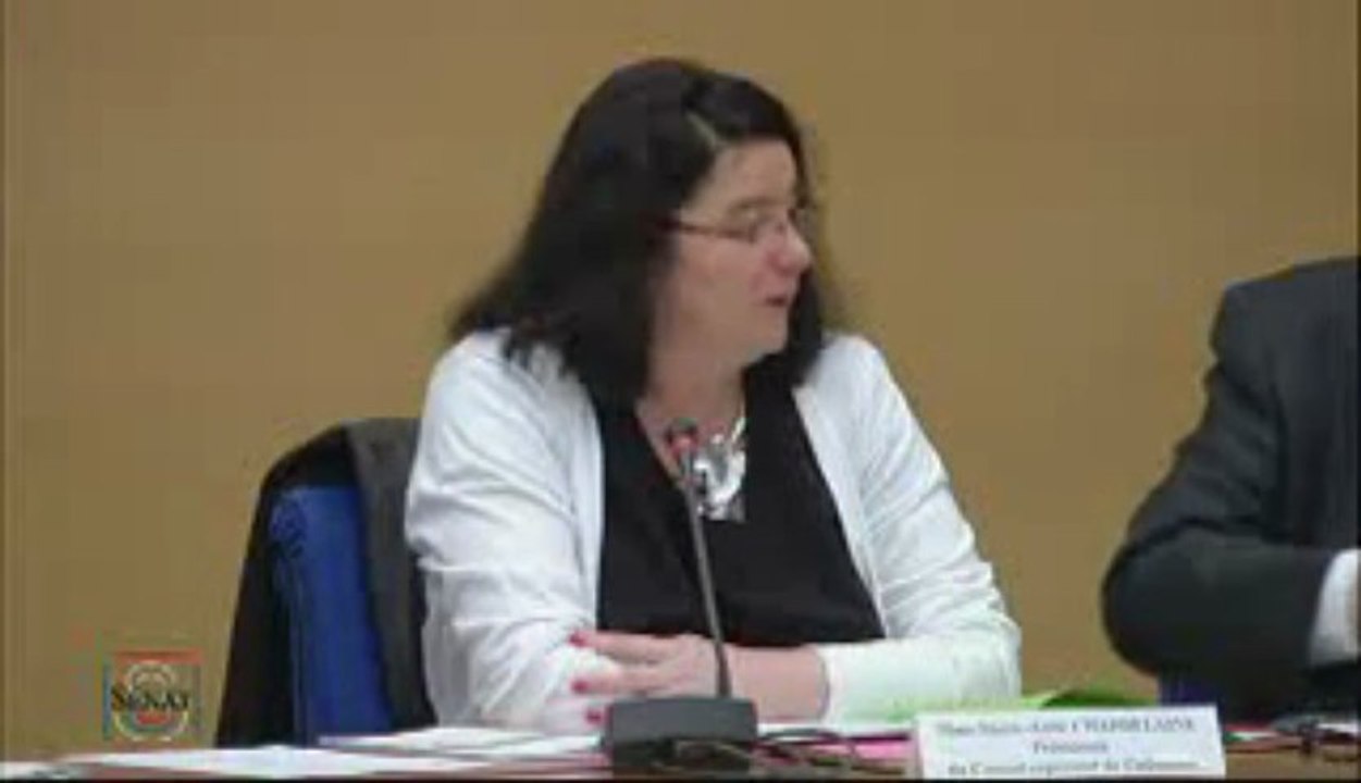CSA Audition de Marie-Anne Chapdelaine par la Commission des Lois du Sénat