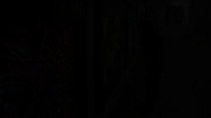 Los animales de Andy Warhol