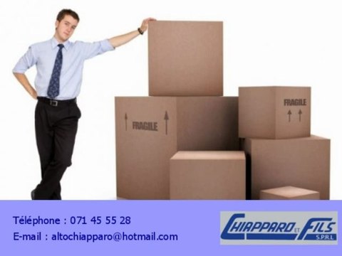 Déménagement déménageur 6180 Courcelles Hainaut