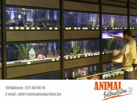 Animalerie Graineterie Hainaut 6180 Courcelles