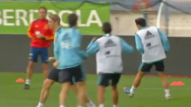 Del Bosque lascia a casa Puyol e Torres