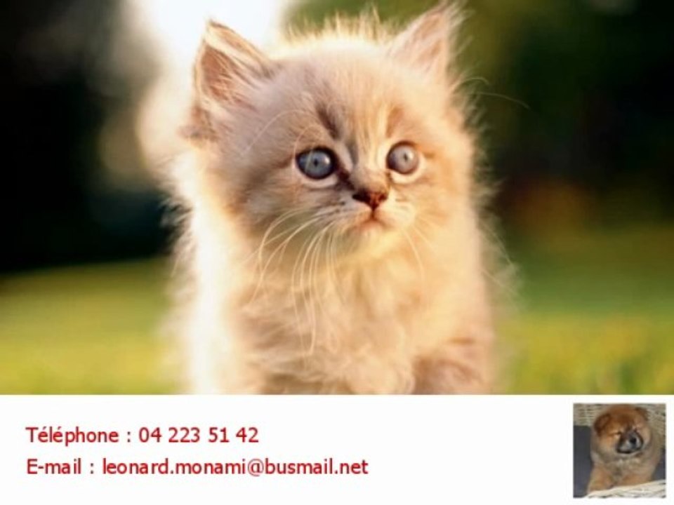 Animalerie Liège 4000 élevage