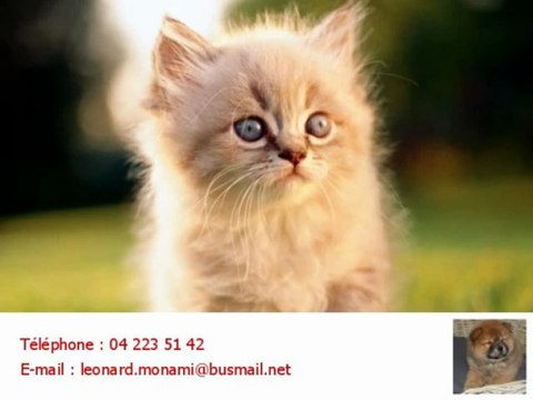 Animalerie Liège 4000 élevage