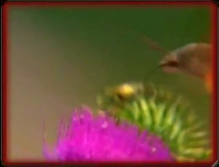 dağlarına bahar gelmiş._clip0_clip0