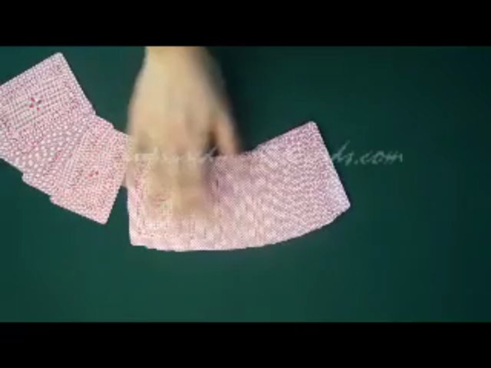 Triche poker--Fournier No.1-1