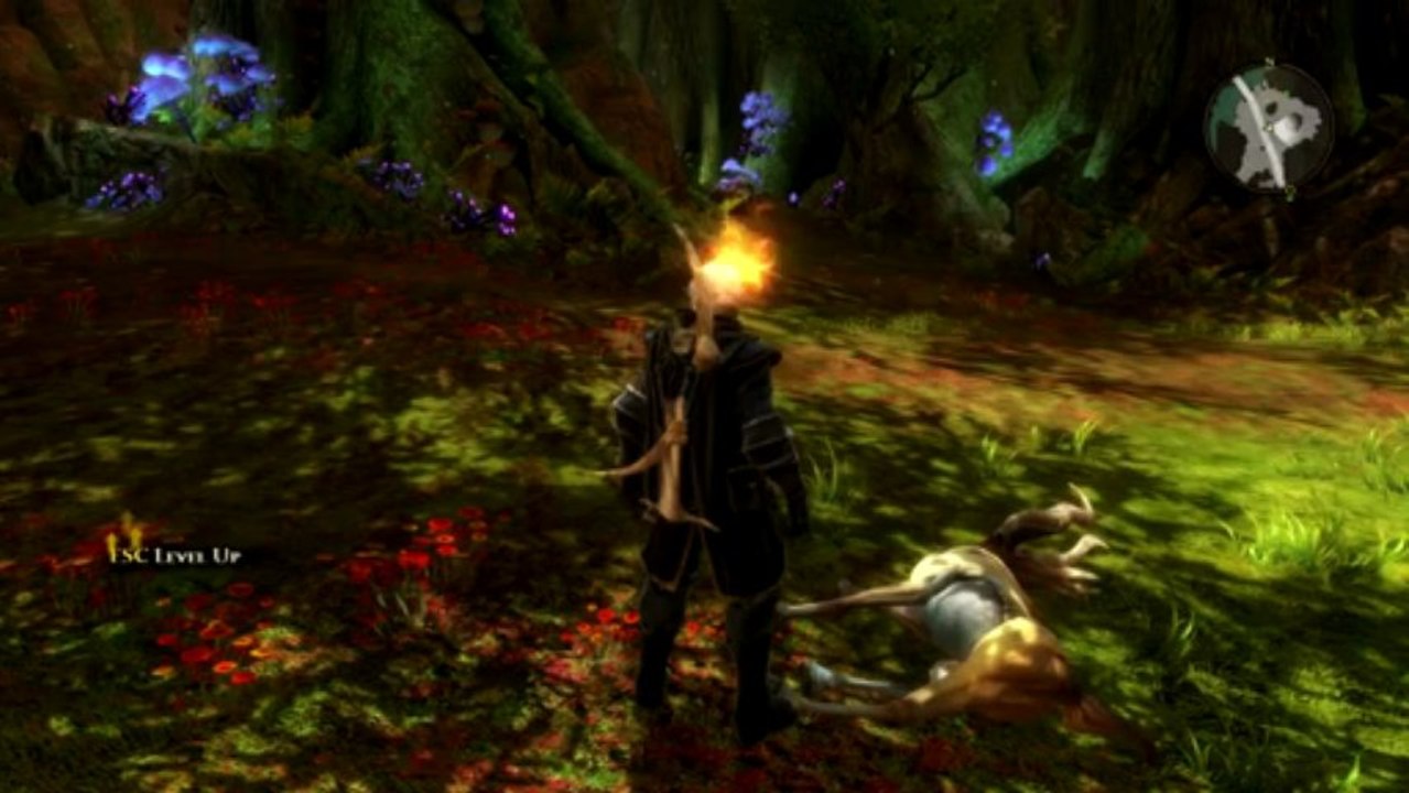 Kingdoms of Amalur Reckoning