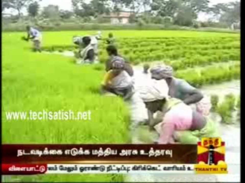 Thanthi Tv Morning News