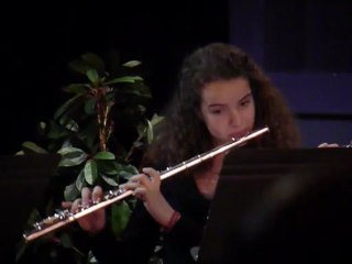 flute traversiere