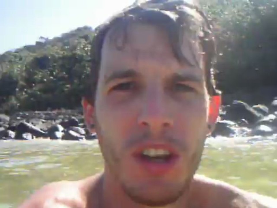 Coucou d'Australie !! Nb 2
