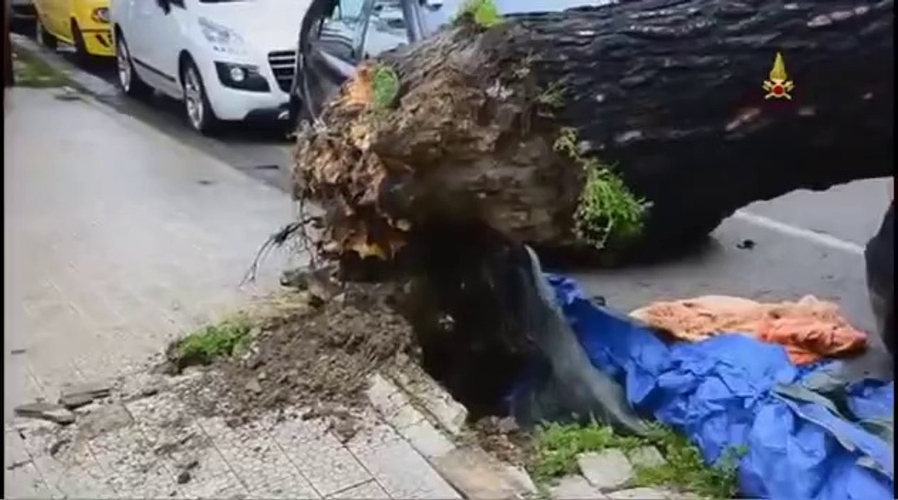 Enna - Interventi causati dal forte vento e dalla pioggia 01 (14.03.13)