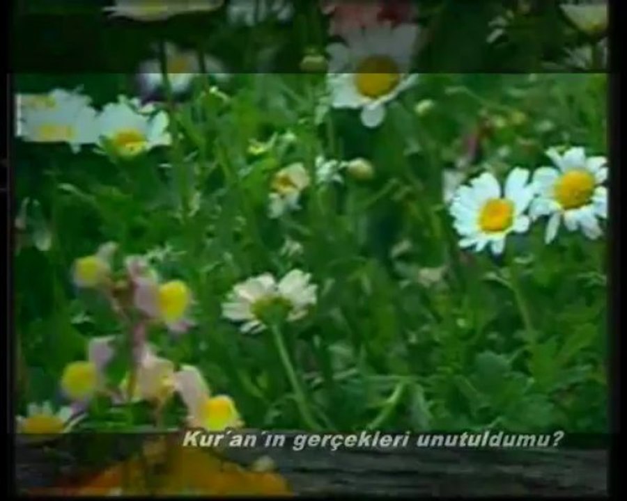 İslam'ın Unutulan Kavramları 6- KURAN'IN GERÇEKLERİ UNUTULDU MU okyay dernegi