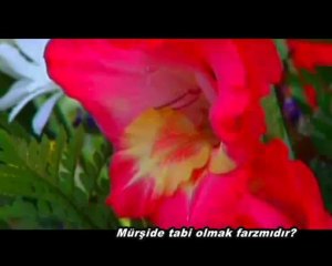 İslam'ın Unutulan Kavramları 8- MÜRŞİD FARZMIDIR okyay dernegi