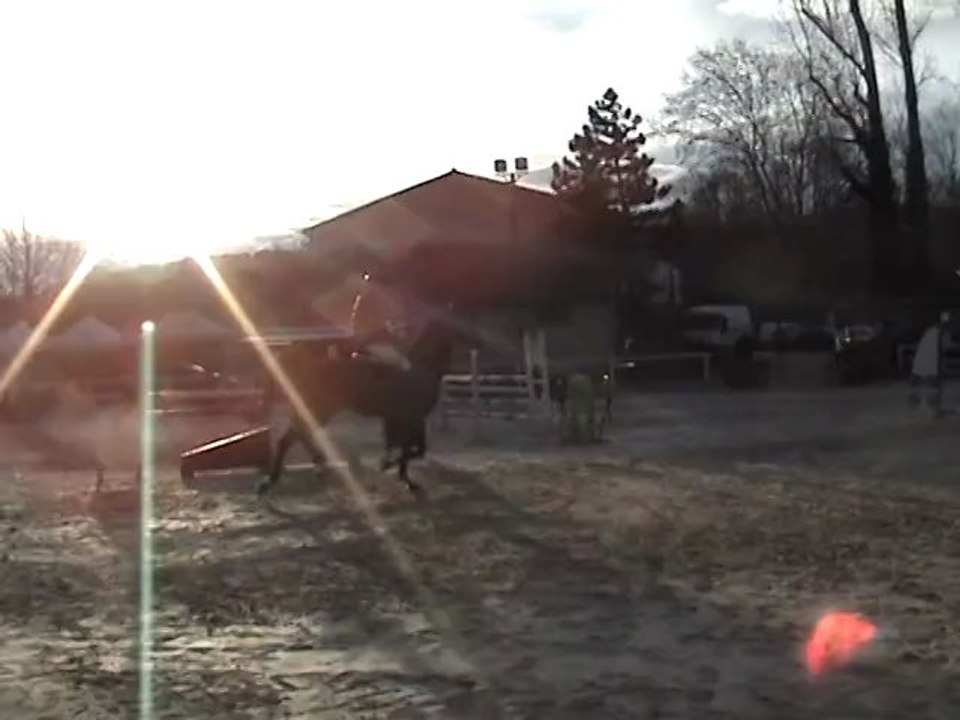 rendezvous de clamens