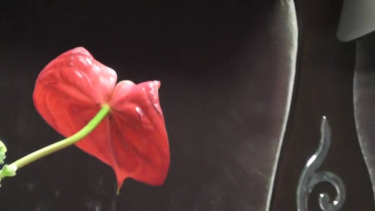 Cemile Sönmez - Günler gelip geçti Vay başıma vay Tempo Tv