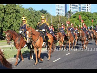 Creaciòn del Cuerpo de Granaderos a Caballo -2