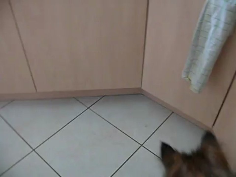 nougat mange à la fourchette !!!