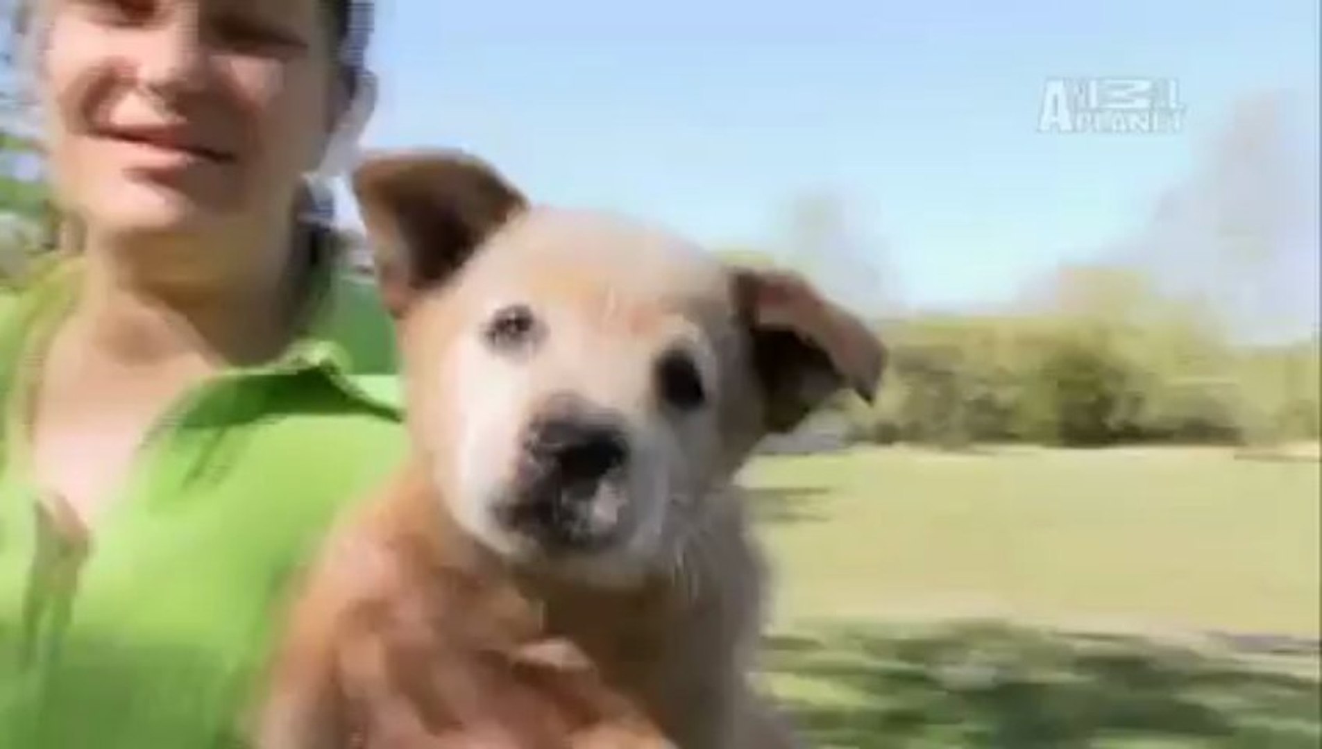 ⁣PET PRESTİJ / PET SÜPERMARKET