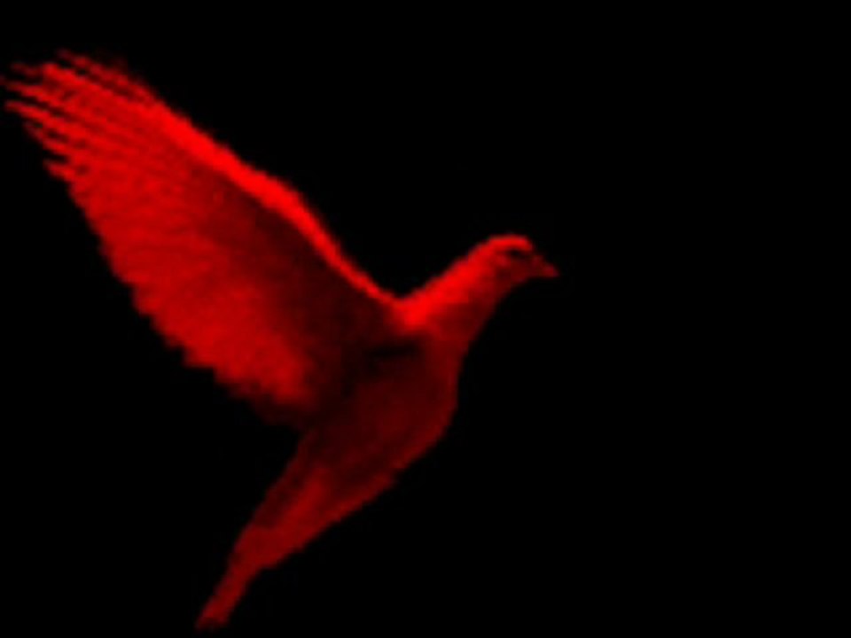 Aşık KADRİ_ Yaylanızda_ Atımı Ota Bagladım Ota