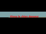 Viona chien danseur