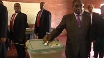 Mugabe and Tsvangirai vote on constitution