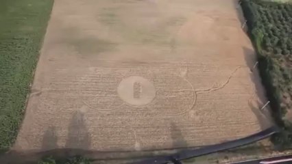 Cerchi nel grano a Guidonia