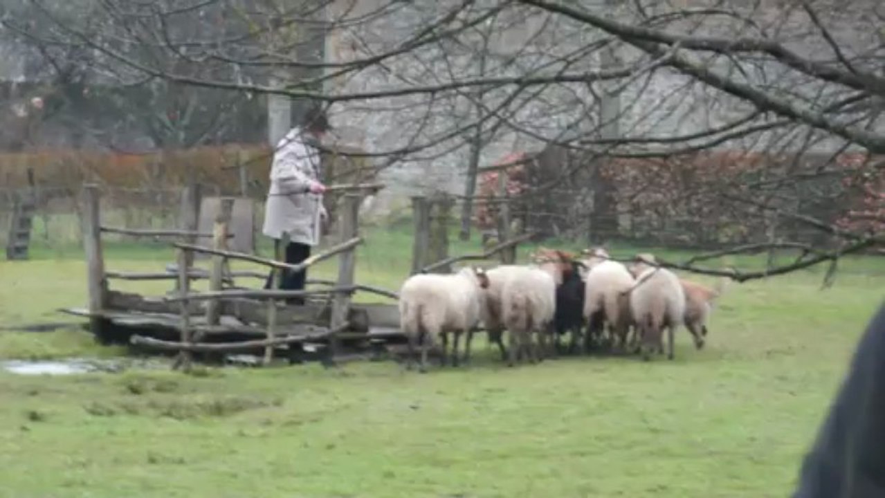 il suffit de passer le pont