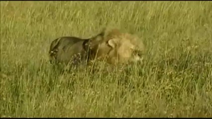 J'te jure chérie ...j'ai rien fait....