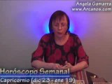 Horoscopo Capricornio del 17 al 23 de febrero 2008