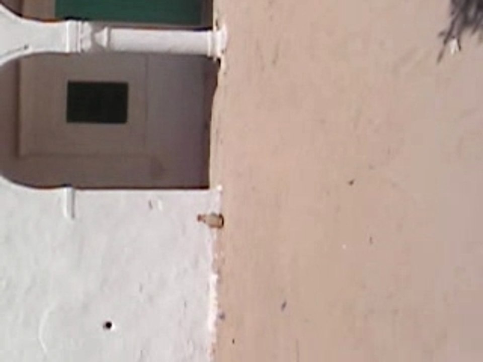 saif