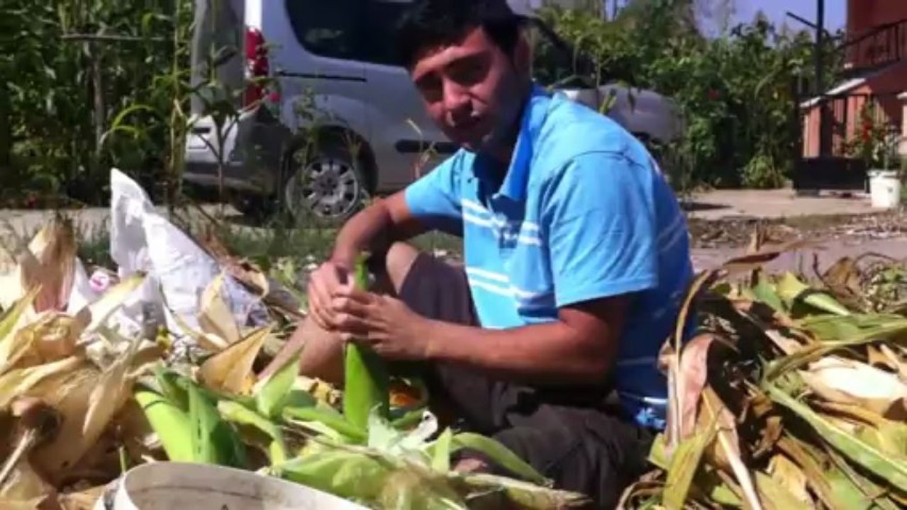 Samsunlu sekko - sevdan olmasa