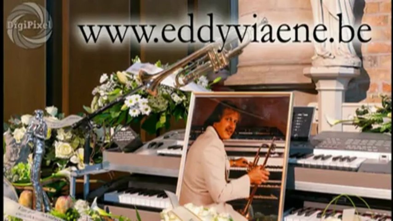 ik  mis je zo (Jesse Vanmeer)