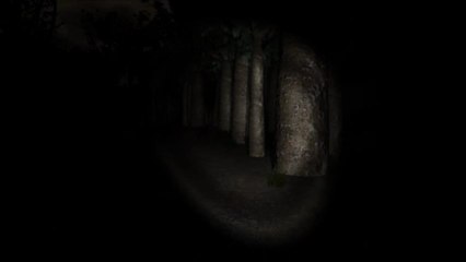 Slender - The Eight Pages - 3ème fois