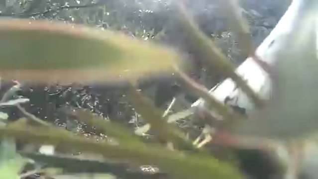 ENDURO VTT CASSIS 2013 SPECIALE 3