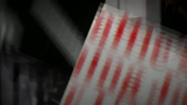 Bruiloft muziek met Jazz Trio JazzTraffic voor Swing, Sfeer en Gezelligheid !