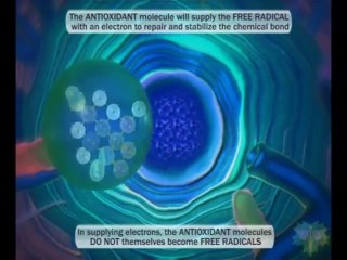 What are Free Radicals