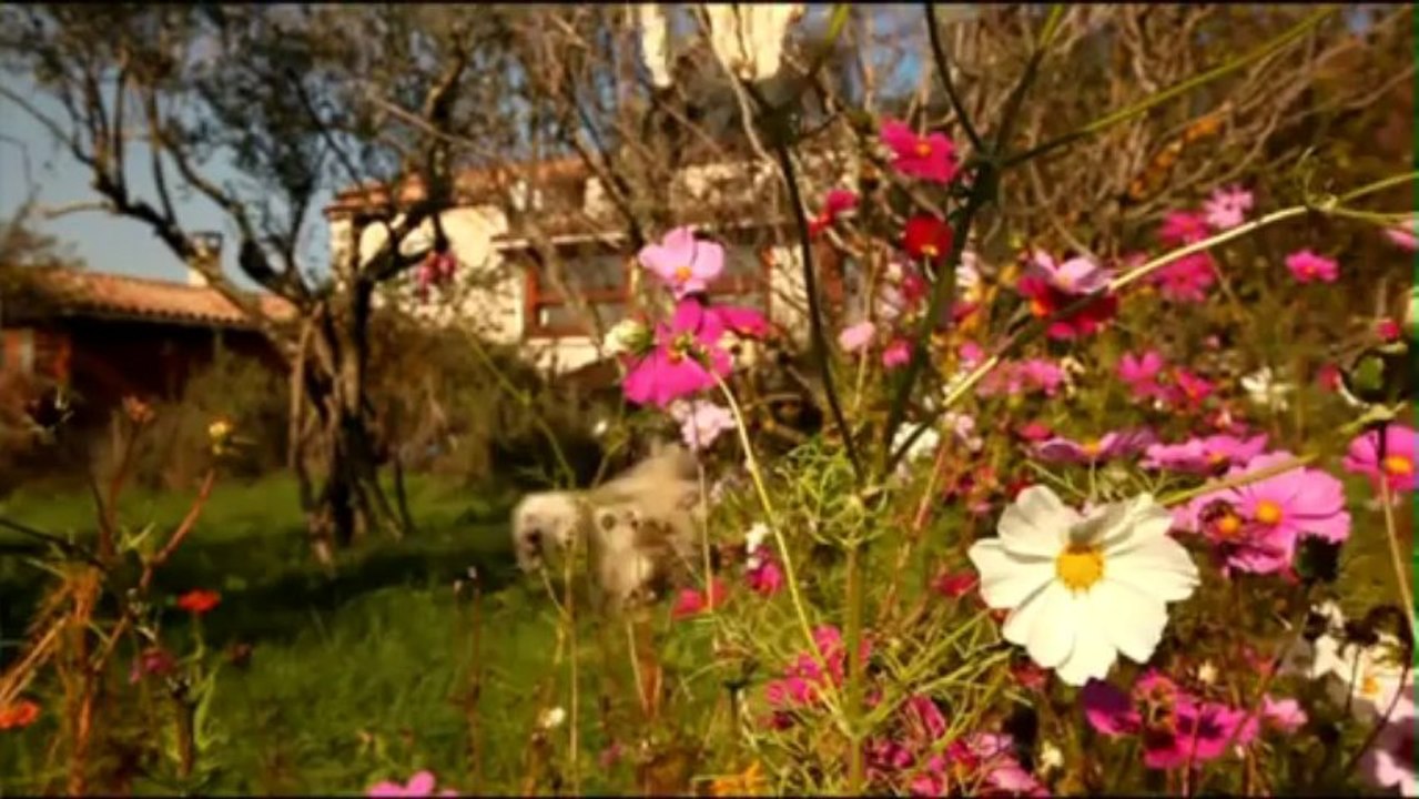 Empreintes - Pierre Rabhi - Les clés du paradigme