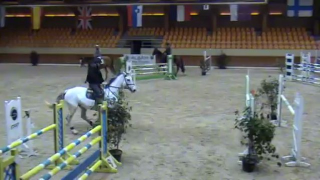 Queen 120 Morzele 160313