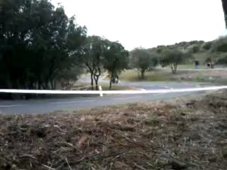 garrigue 2013