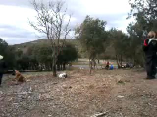 Vidéo0033