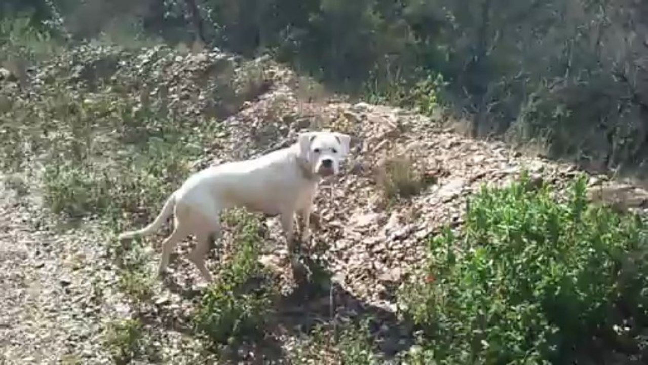 Balade du 16 mars 2013