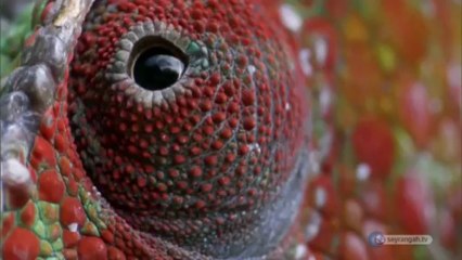 Esma-ül Hüsna - 3 [Er-Rahim] | HD