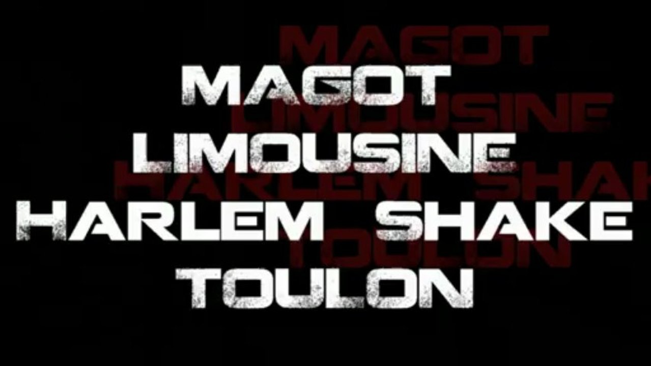 Magot Limousine Harlem Shake