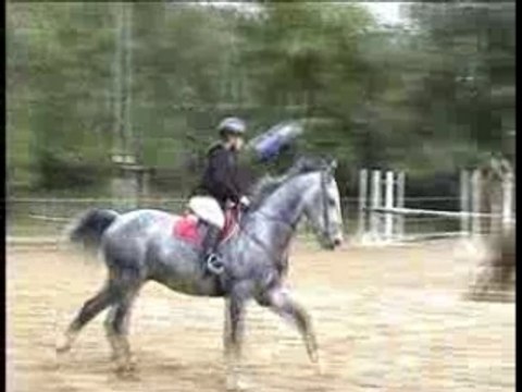 concours cheval Cso cransac popo E1 22.10.06