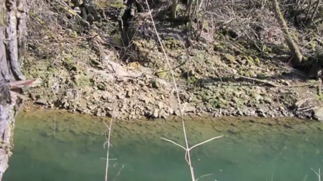 A la recherche d'une grosse truite.