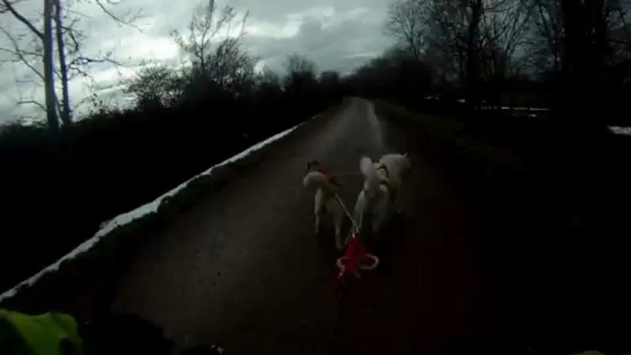 footbike