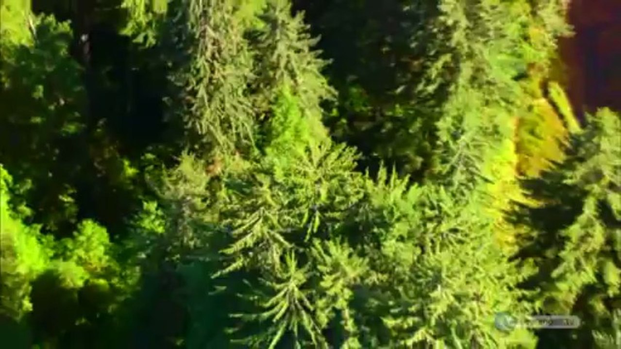 Esma-ül Hüsna - 5 [El-Kuddus] | HD