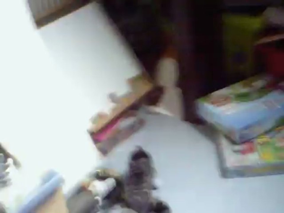 presentation des proger que je vais elaborer sur ma chaine